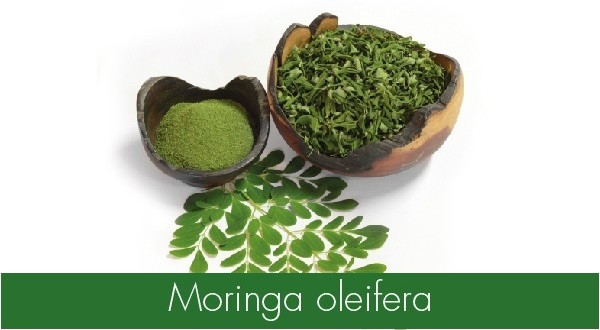 MORINGA