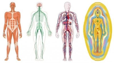 CÓMO SE INSTALAN LOS CONFLICTOS EMOCIONALES EN EL CUERPO 2026 cuerpos