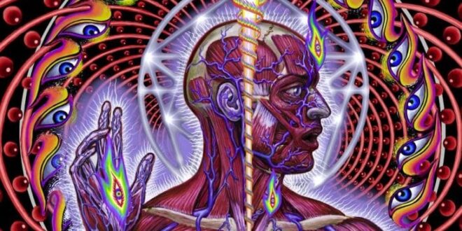 EJERCICIO PARA ACTIVAR LA GLÁNDULA PINEAL 2026 ejercicios para activar la glandula pineal