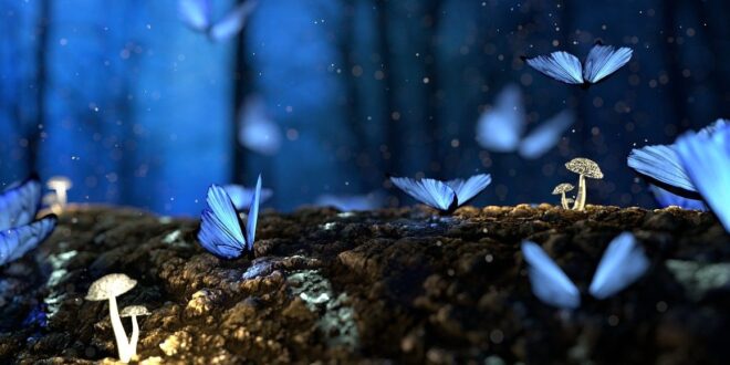 La mariposa como guía espiritual: su significado y simbolismo en diferentes culturas