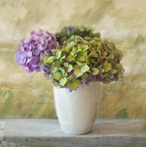 FENG SHUI: APRENDE COMO USAR LA ENERGÍA DE LAS PLANTAS 2026 FENG SHUI: APRENDE COMO USAR LA ENERGÍA DE LAS PLANTAS
