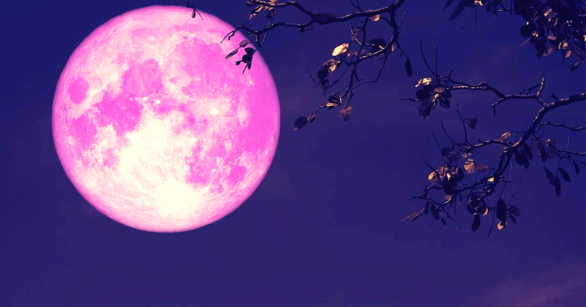 UNA LUNA ROSA ILUMINARÁ TU CIELO ESTA NOCHE 2026 UNA LUNA ROSA ILUMINARÁ TU CIELO ESTA NOCHE
