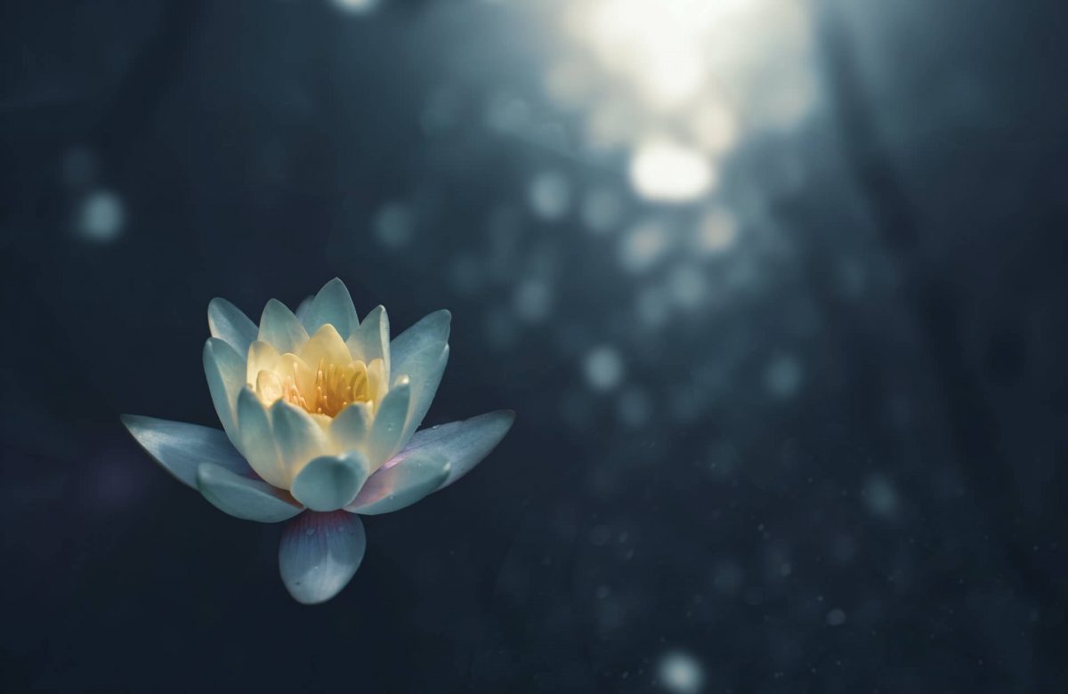 AFIRMACIONES PARA CADA CHAKRA