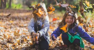 EXPLORANDO SIN LÍMITES: LO QUE NO DEBERÍAMOS PROHIBIR A LOS NIÑOS