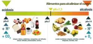 cuerpo alcalino