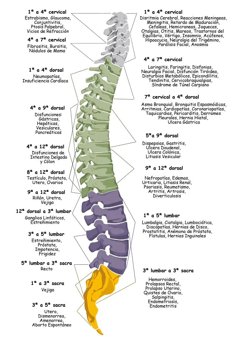 columna-total