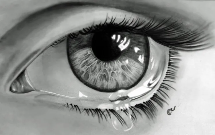 LOS OJOS Y SUS CONFLICTOS EMOCIONALES 2026 Cómo los conflictos emocionales afectan tus ojos y qué hacer al respecto