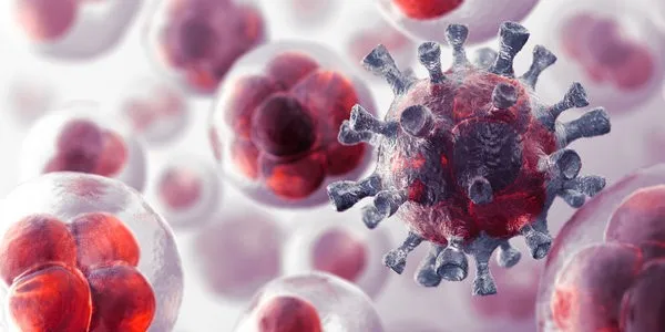 ALIMENTO DE CÉLULAS CANCERÍGENAS 2026 ALIMENTO DE CÉLULAS CANCERÍGENAS