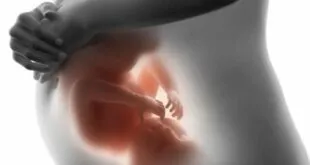 LAS EMOCIONES DE MAMÁ INFLUYEN EN EL DESARROLLO CEREBRAL DEL BEBÉ 2026 LAS EMOCIONES DE MAMÁ INFLUYEN EN EL DESARROLLO CEREBRAL DEL BEBÉ