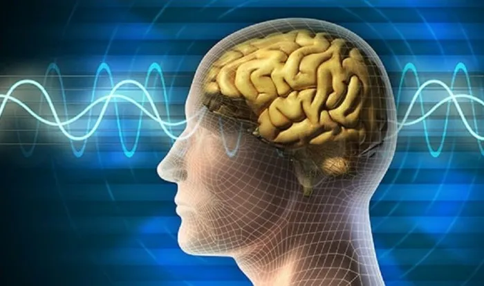 PSICONEUROINMUNOLOGÍA: LO QUE EL CORAZÓN QUIERE, LA MENTE SE LO MUESTRA