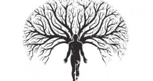 TEORÍA DE LOS CAMPOS MÓRFICOS Y EL ÁRBOL GENEALÓGICO