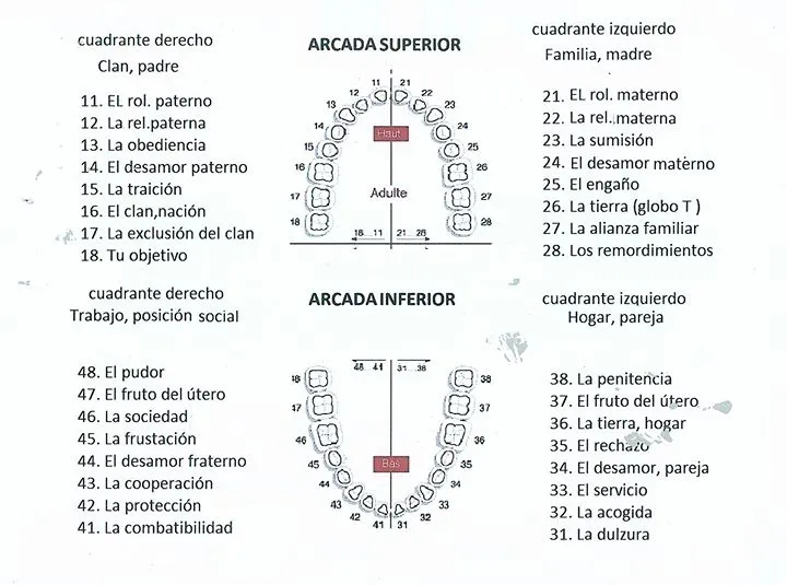 dientes-bio