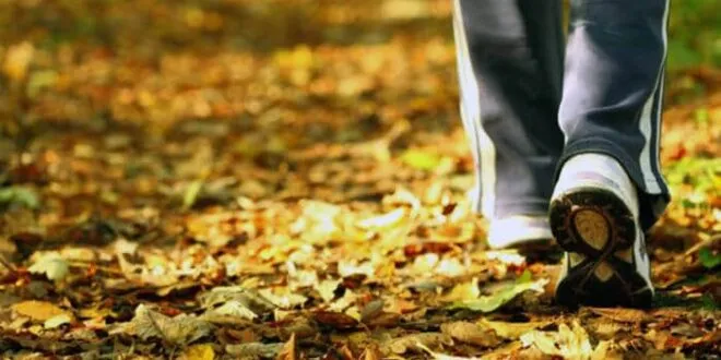 CAMINAR VUELVE AL CEREBRO MAS CREATIVO Y LE CURA LAS PENAS