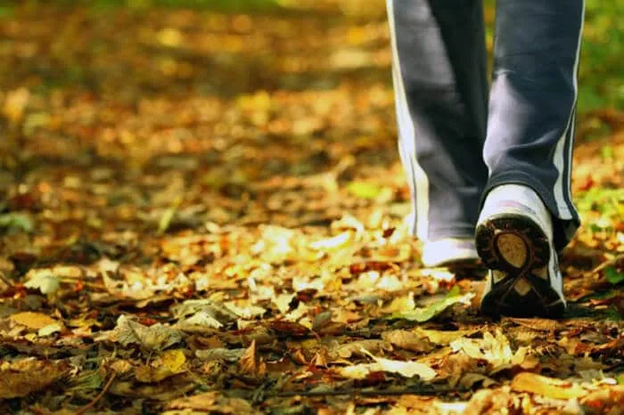 CAMINAR VUELVE AL CEREBRO MAS CREATIVO Y LE CURA LAS PENAS 2026 CAMINAR VUELVE AL CEREBRO MAS CREATIVO Y LE CURA LAS PENAS
