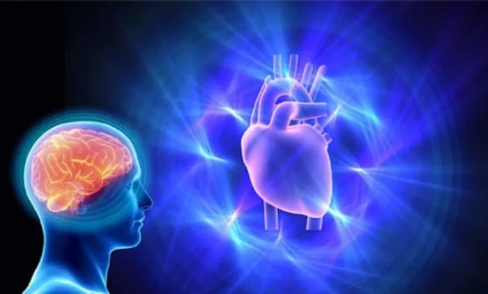 EL CORAZÓN TIENE CEREBRO