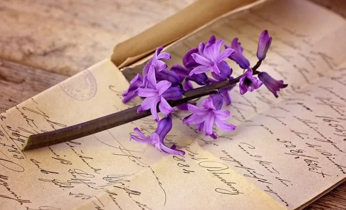 SANA TUS EMOCIONES ESCRIBIENDO 2026 SANA TUS EMOCIONES ESCRIBIENDO