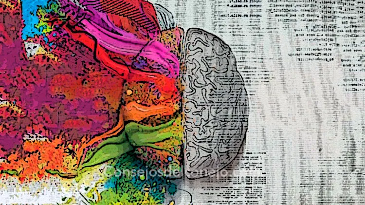 ¿CÓMO ESTIMULAR LAS EMOCIONES PARA SANAR? 2026 ¿CÓMO ESTIMULAR LAS EMOCIONES PARA SANAR?