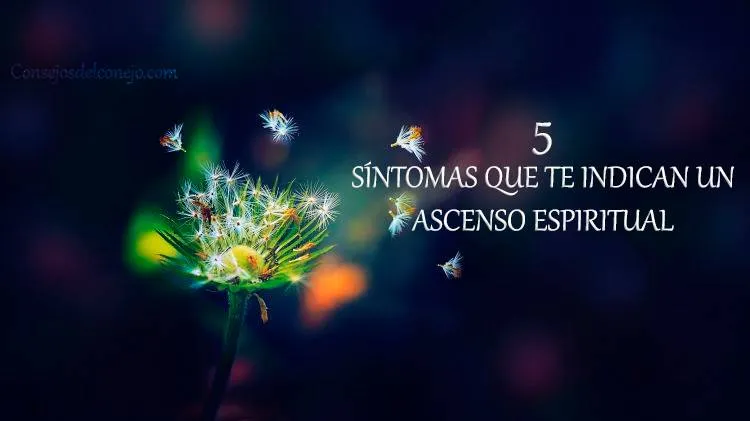 ASCENSO ESPIRITUAL
