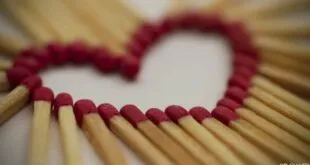 ¿QUIÉN MATÓ AL AMOR? 2026 ¿QUIÉN MATÓ AL AMOR?