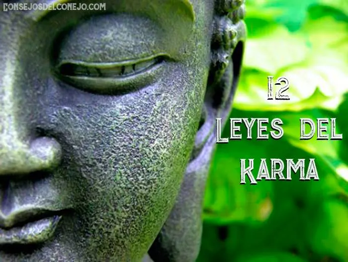 LAS 12 LEYES DEL KARMA QUE CAMBIARÁN TU VIDA 2026 LAS 12 LEYES DEL KARMA QUE CAMBIARÁN TU VIDA
