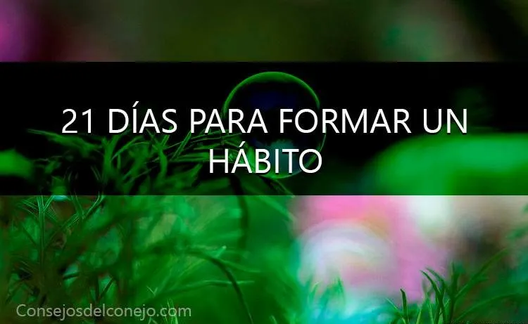 21 DÍAS PARA FORMAR UN HÁBITO