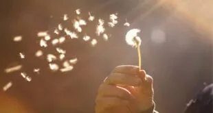 CÓMO HACERTE AMIGO DE LA ANSIEDAD 2026 CÓMO HACERTE AMIGO DE LA ANSIEDAD