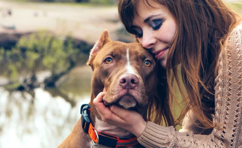 PERDER A UN PERRO DUELE MÁS QUE UN CORAZÓN ROTO 2026 PERDER A UN PERRO DUELE MÁS QUE UN CORAZÓN ROTO