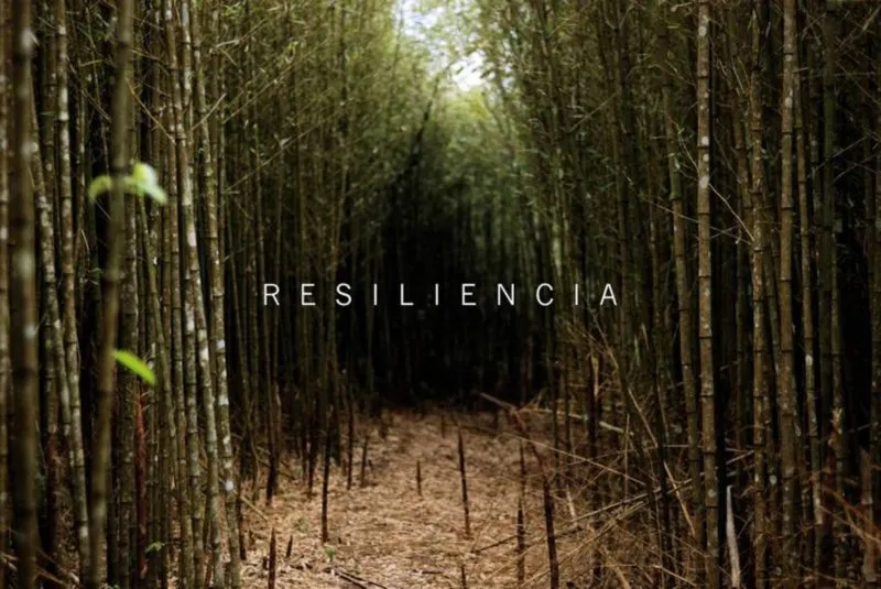 RESILIENCIA: LA ADVERSIDAD ME HACE MÁS FUERTE