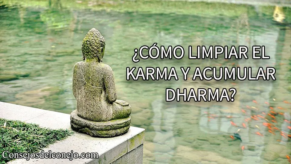 ¿CÓMO LIMPIAR EL KARMA Y ACUMULAR DHARMA?