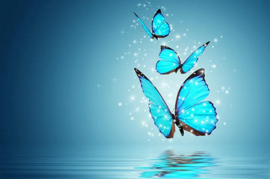 LA MARIPOSA ES EL SÍMBOLO DEL ALMA 2026 mariposa simbolo del alma