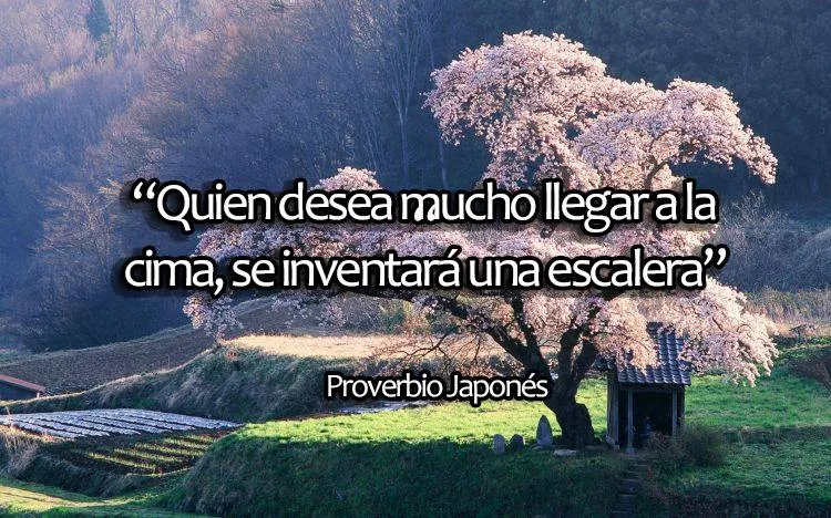 PROVERBIOS DE LA SABIDURÍA JAPONESA