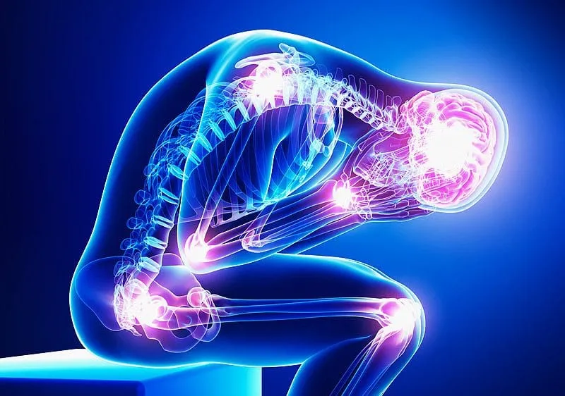 12 SEÑALES DE TU CUERPO QUE NO PUEDES IGNORAR 2026 las señales del cuerpo