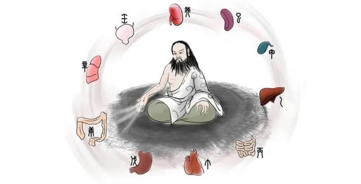 MEDICINA TRADICIONAL CHINA: EL RELOJ BIOLÓGICO