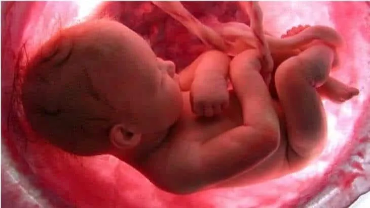 LA PROGRAMACIÓN INCONSCIENTE DE LOS HIJOS 2026 LA PROGRAMACIÓN INCONSCIENTE DE LOS HIJOS