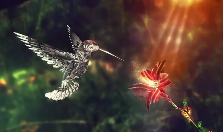 CUANDO VEAS UN COLIBRÍ, UN ALMA AMADA TE VINO A VISITAR