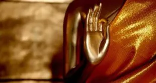 5 MUDRAS PARA CONECTAR CON TU SER SUPERIOR