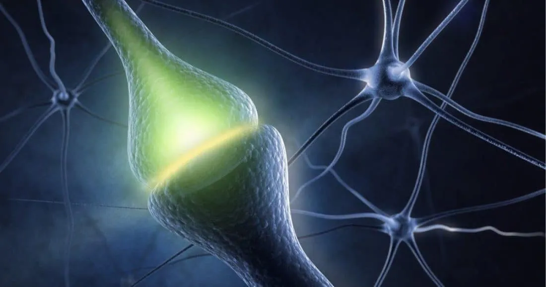 EL NEUROTRANSMISOR QUE ES LA CLAVE DE LA ESPIRITUALIDAD Y LA CONCIENCIA SUPERIOR 2026 EL NEUROTRANSMISOR QUE ES LA CLAVE DE LA ESPIRITUALIDAD Y LA CONCIENCIA SUPERIOR