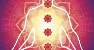 ¿CUÁL ES MI CHAKRA DOMINANTE?
