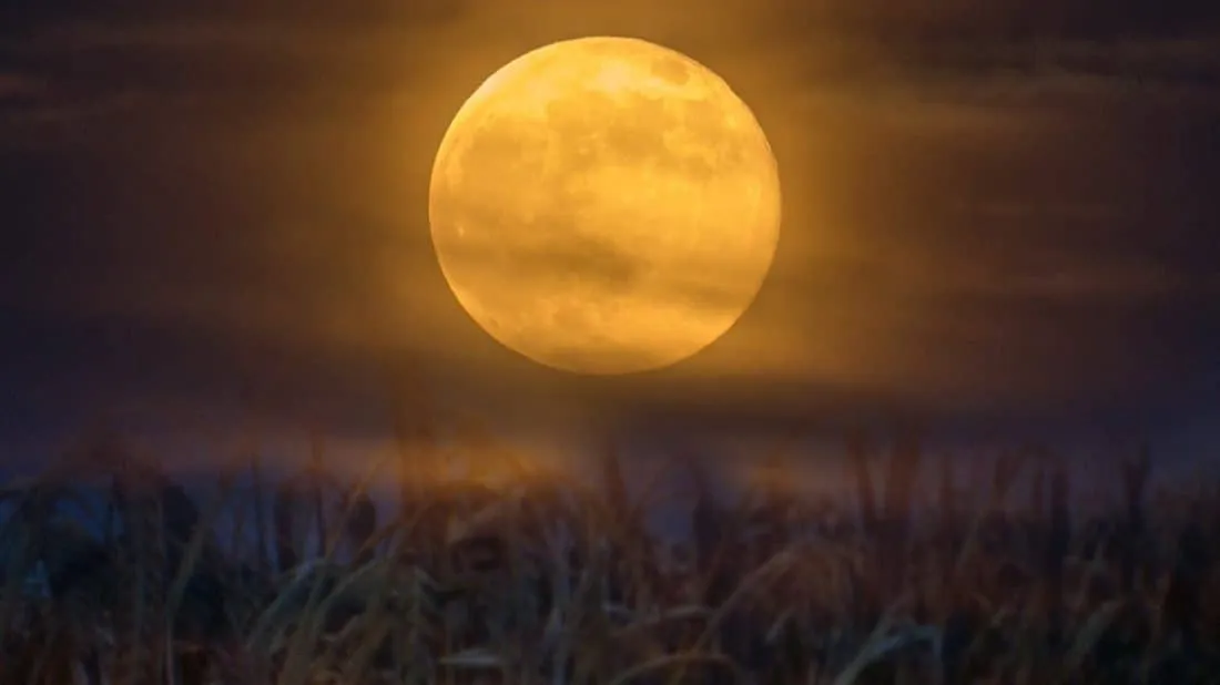 UNA LUNA DE COSECHA ILUMINARÁ EL CIELO ESTA NOCHE