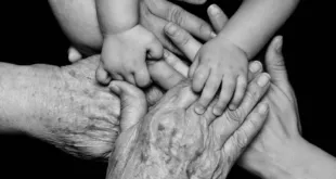 NUESTROS ANCESTROS 2026 NUESTROS ANCESTROS