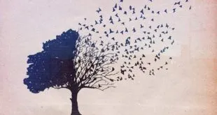 ¿QUÉ OCULTA TU ÁRBOL GENEALÓGICO? 2026 ¿QUÉ OCULTA TU ÁRBOL GENEALÓGICO?