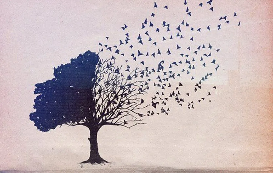 ¿QUÉ OCULTA TU ÁRBOL GENEALÓGICO?