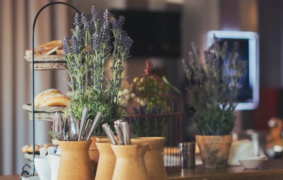 7 PLANTAS QUE AYUDAN A ALIVIAR EL ESTRÉS Y LA ANSIEDAD