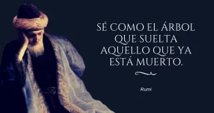 Sé como el árbol que suelta aquello que ya está muerto Rumi