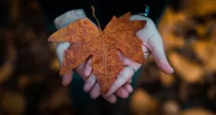 RUMI: NACISTE CON GRANDEZA