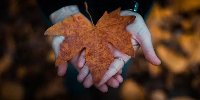 RUMI: NACISTE CON GRANDEZA