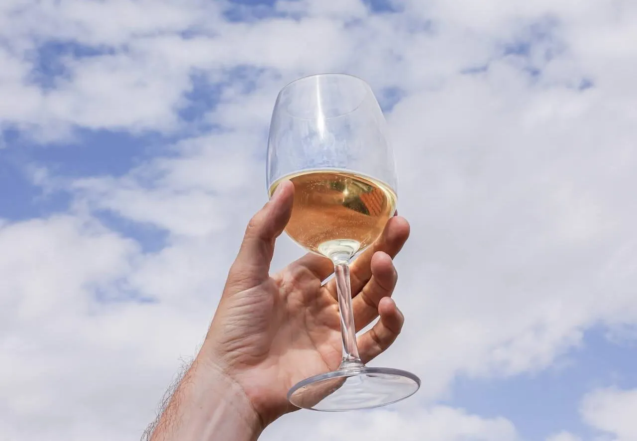 UN BRINDIS POR AQUELLOS QUE NOS SONRÍEN DESDE LAS ESTRELLAS