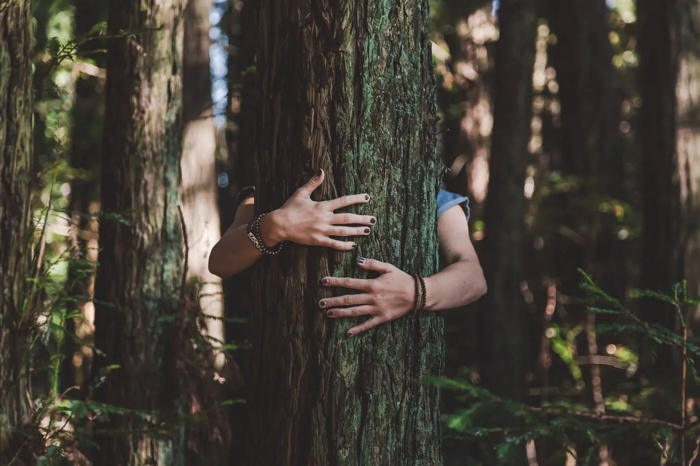 EL PODER SANADOR DE LA NATURALEZA 2026 EL PODER SANADOR DE LA NATURALEZA