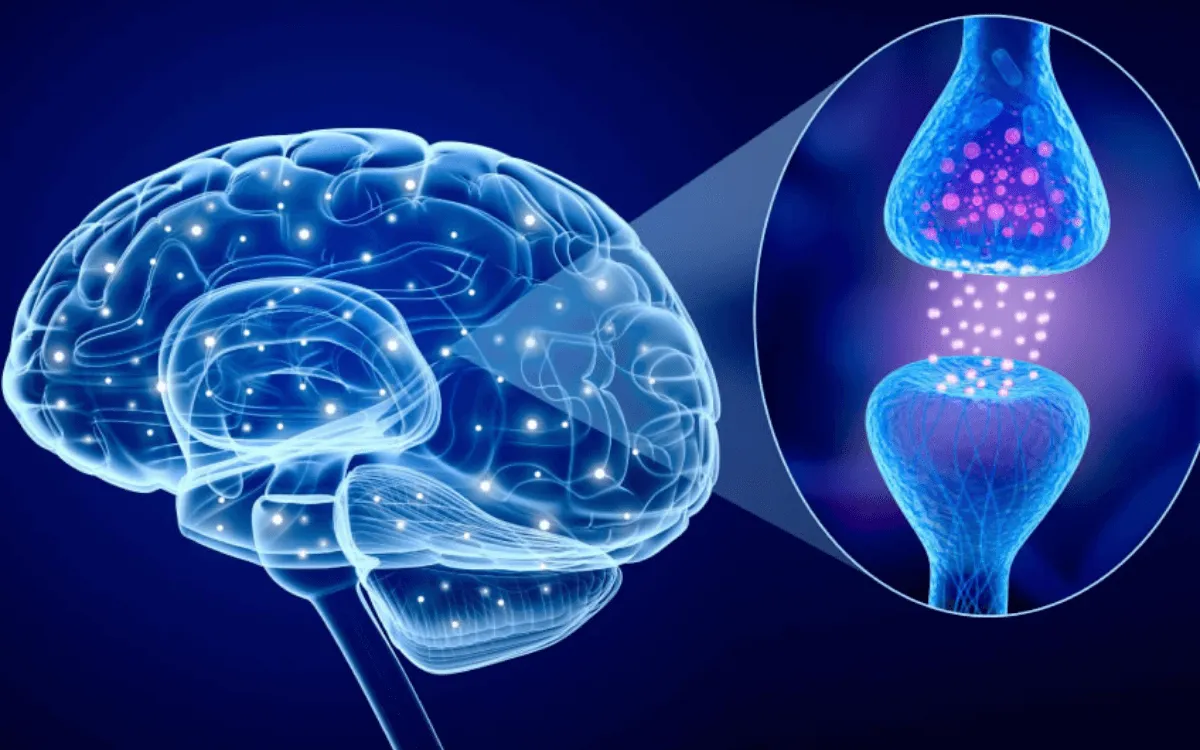 SEÑALES DE NIVELES BAJOS DE SEROTONINA