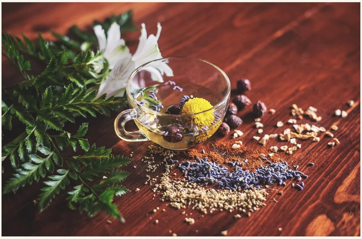 MÚLTIPLES BENEFICIOS DEL TÉ PARA TU SALUD